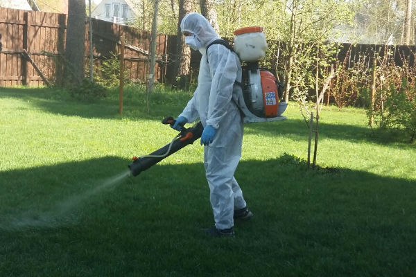 Обработка участка от клещей услуга